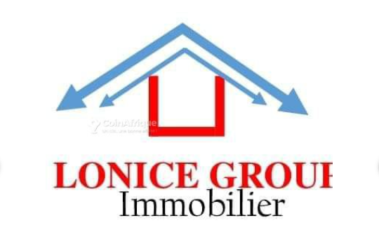 Lonice Group Immobilier