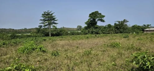Guide achat terrain en côte d'ivoire