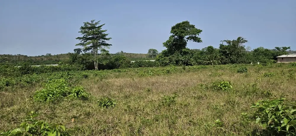 Guide achat terrain en côte d'ivoire