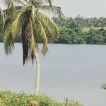 Terrain 2 hectares plat ACD littoral Mondoukou ( Côte d'Ivoire ) en Vente