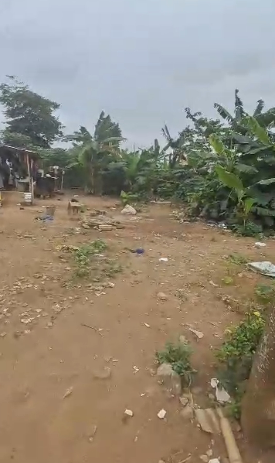 Terrain 600 m2 à vendre Cocody