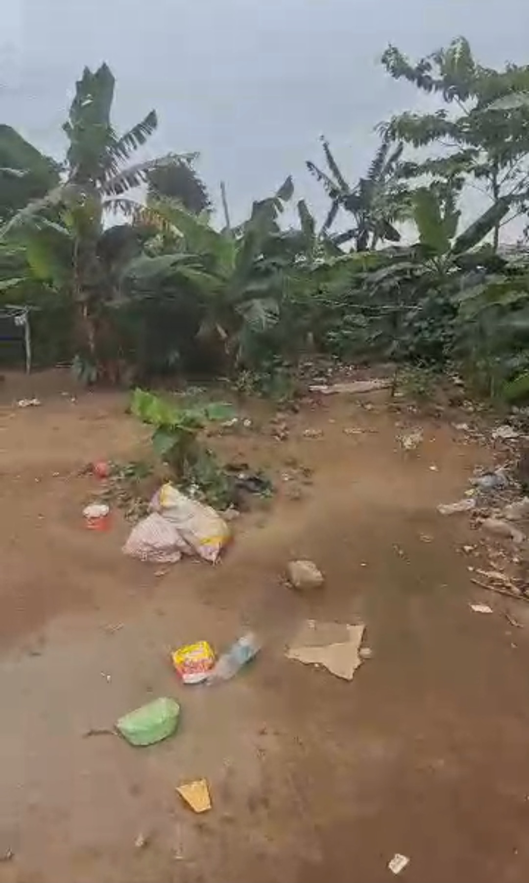 Vends Terrain 600 m2 à Cocody Djorobité